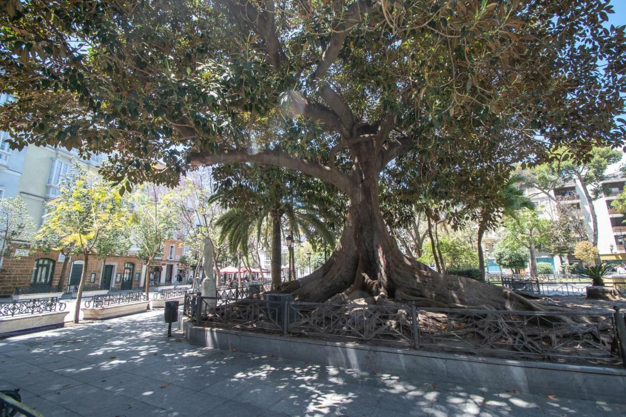 Apartamento Aires Mediterraneos Lägenhet Cádiz Exteriör bild